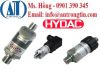 Cảm biến áp suất HYDAC - anh 1